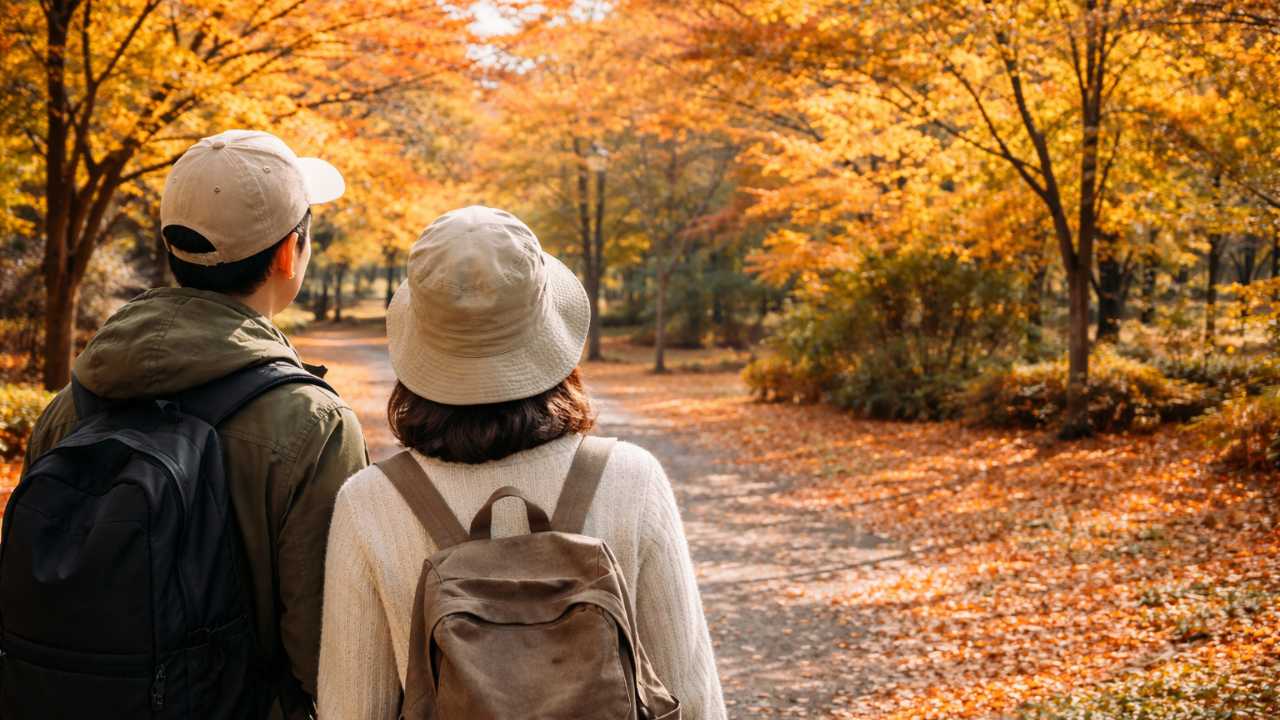 駐車場入口の案内看板を確認する来園者、秋の公園らしい空気感