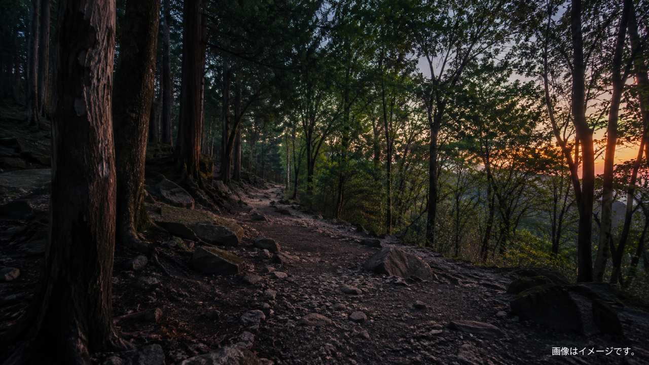 夕方の金華山登山道をイメージしたブログ用画像